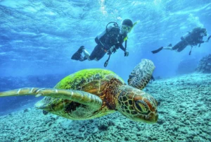 Best-Scuba-diving-in-The-World