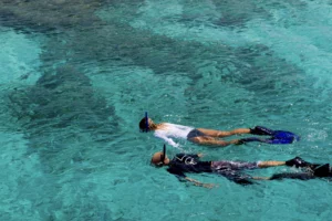 A couple-Scuba-Diving-in-the-caribbean