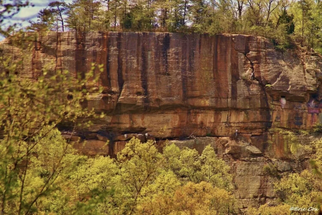 Climbing in Red river gorge