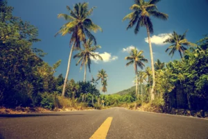 nice-asfalt-road-with-palm-trees