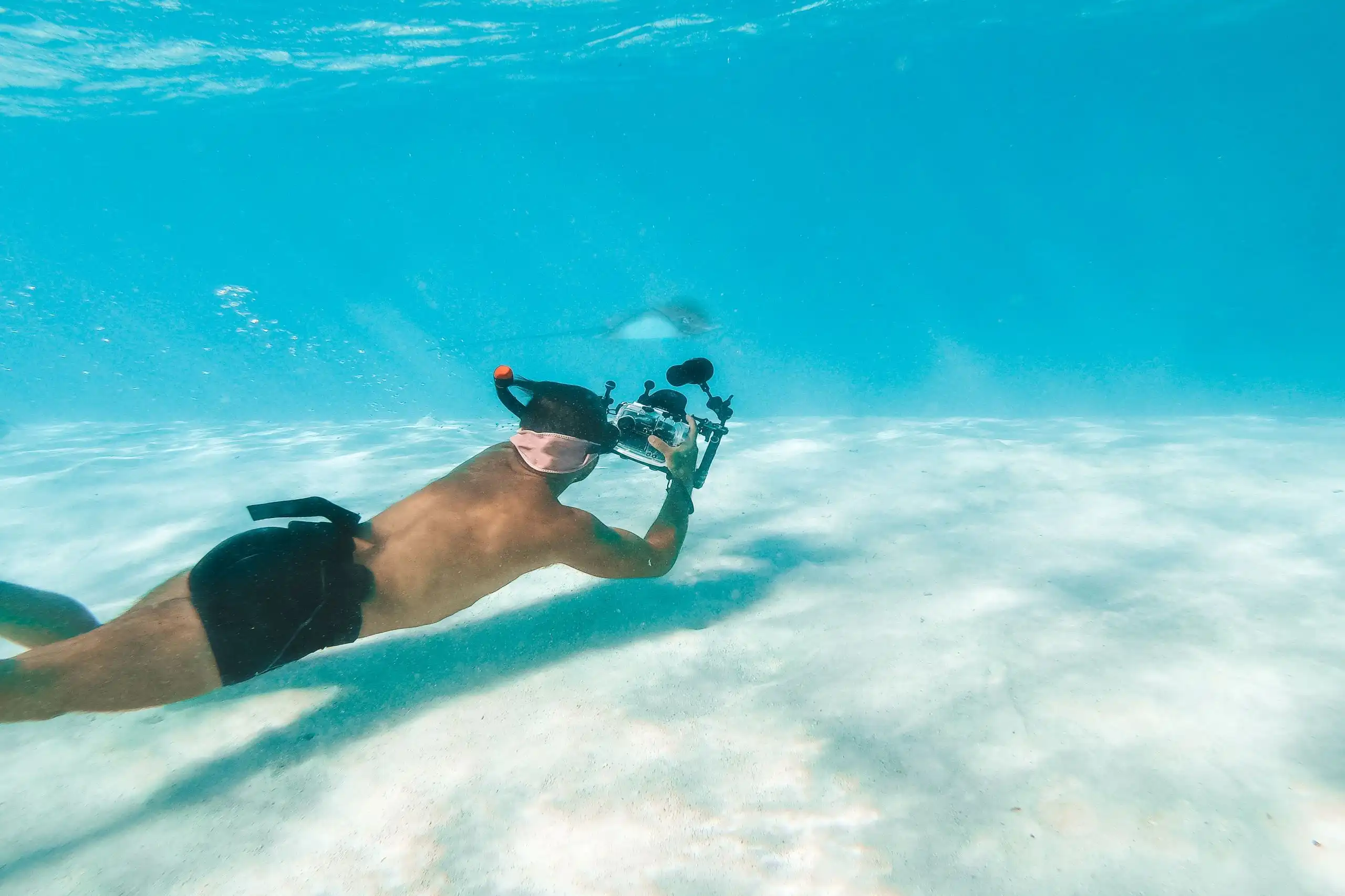 Best underwater cameras: Our 5 picks