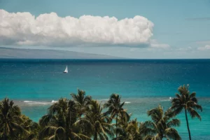 sailboat on the ocean in maui hawaii
